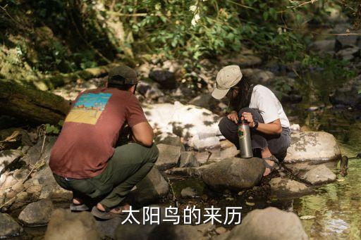  太陽鳥的來歷