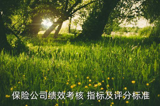  保險公司績效考核 指標及評分標準