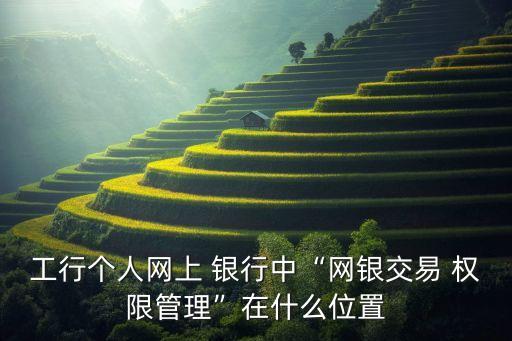 工行個(gè)人網(wǎng)上 銀行中“網(wǎng)銀交易 權(quán)限管理”在什么位置