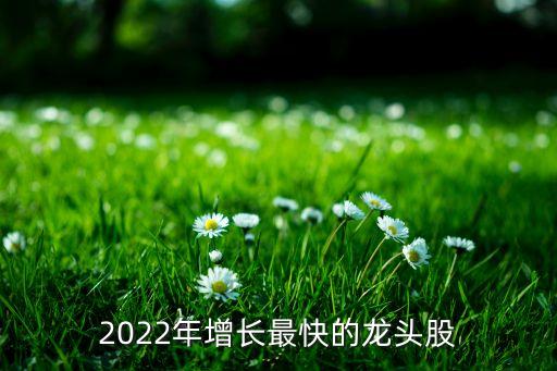 2022年增長最快的龍頭股