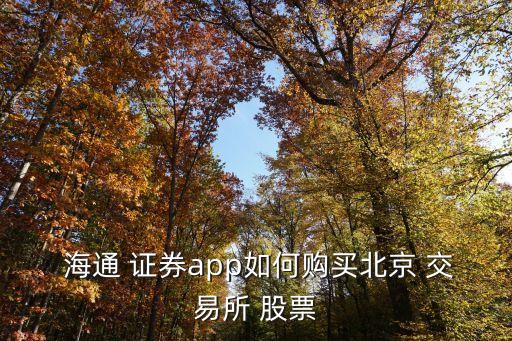  海通 證券app如何購(gòu)買北京 交易所 股票