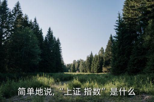 簡單地說,“上證 指數(shù)”是什么