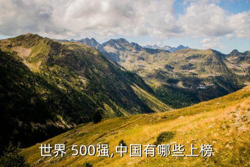  世界 500強,中國有哪些上榜