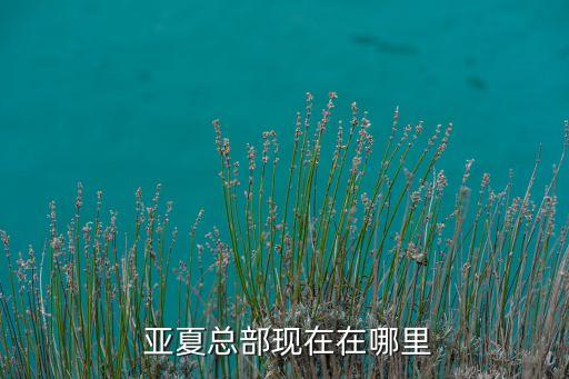 蕪湖市亞夏物流服務(wù)有限公司