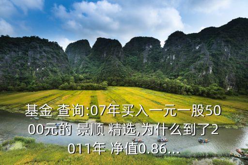 基金 查詢:07年買入一元一股5000元的 景順 精選,為什么到了2011年 凈值0.86...