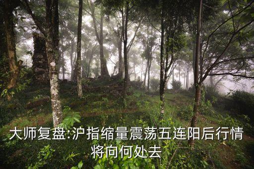 大師復(fù)盤:滬指縮量震蕩五連陽后行情將向何處去