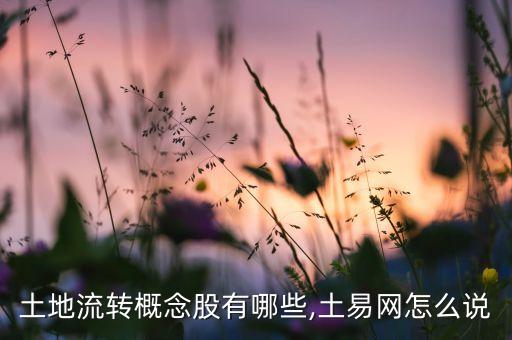 土地流轉(zhuǎn)概念股有哪些,土易網(wǎng)怎么說(shuō)