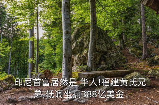  印尼首富居然是 華人!福建黃氏兄弟,低調(diào)坐擁388億美金