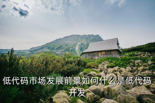 低代碼市場發(fā)展前景如何什么是低代碼開發(fā)