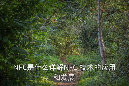 nfc移動支付技術(shù)上市公司,使用NFC技術(shù)實現(xiàn)的移動支付被稱為