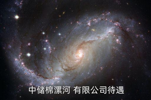  中儲棉漯河 有限公司待遇