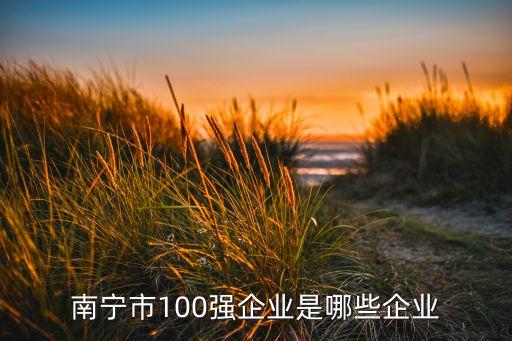 南寧市100強(qiáng)企業(yè)是哪些企業(yè)