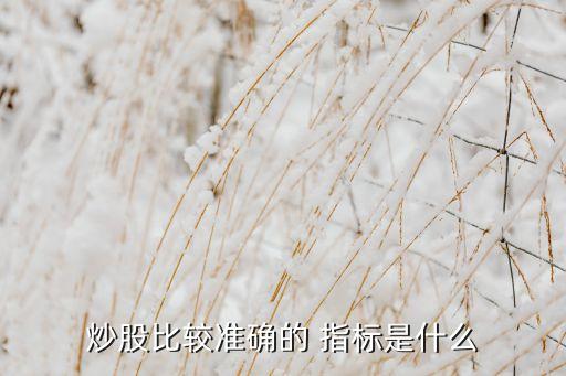 炒股比較準(zhǔn)確的 指標(biāo)是什么