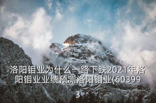 洛陽鉬業(yè)為什么一路下跌2021年洛陽鉬業(yè)業(yè)績預(yù)測洛陽鉬業(yè)(603993