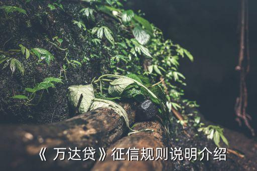 《 萬達(dá)貸》征信規(guī)則說明介紹