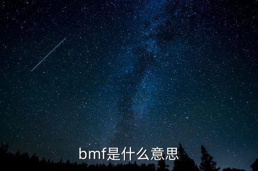 bmf是什么意思