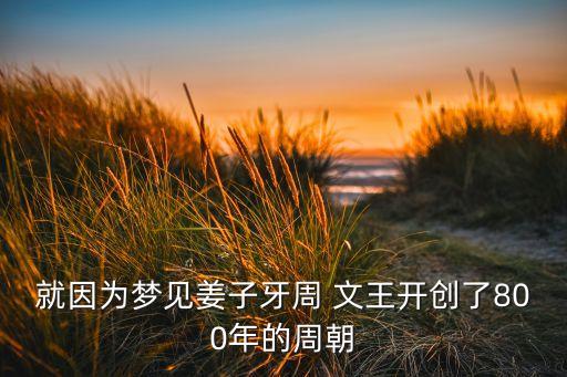 就因?yàn)閴?mèng)見(jiàn)姜子牙周 文王開創(chuàng)了800年的周朝