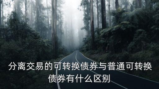 可分離公司債