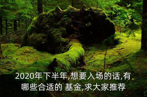 2020年下半年,想要入場(chǎng)的話,有哪些合適的 基金,求大家推薦