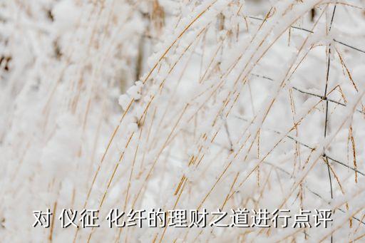 對(duì) 儀征 化纖的理財(cái)之道進(jìn)行點(diǎn)評(píng)