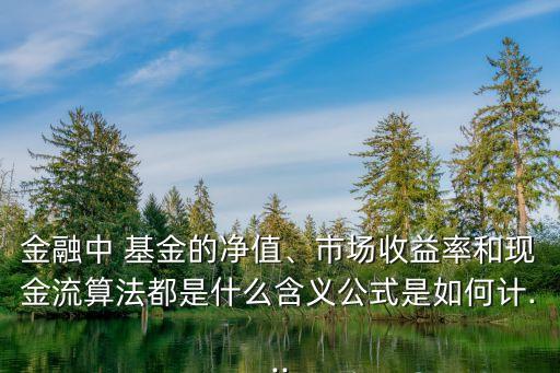 金融中 基金的凈值、市場收益率和現(xiàn)金流算法都是什么含義公式是如何計(jì)...