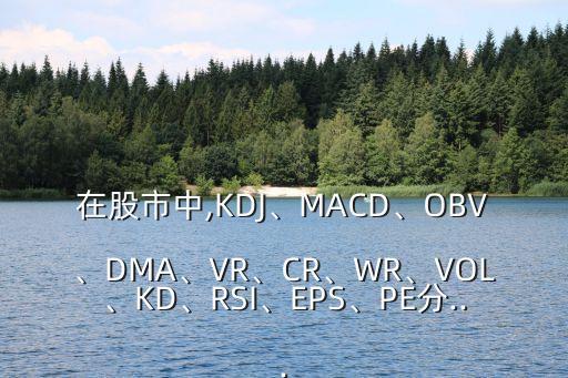 在股市中,KDJ、MACD、OBV、DMA、VR、CR、WR、VOL、KD、RSI、EPS、PE分...