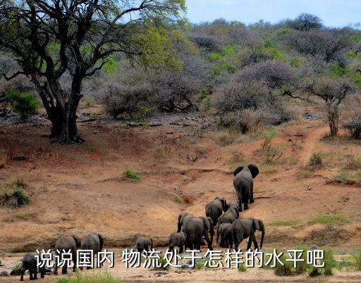 說說國內(nèi) 物流處于怎樣的水平吧