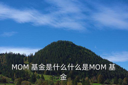 MOM 基金是什么什么是MOM 基金