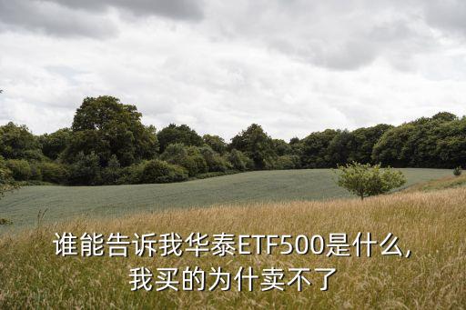 誰(shuí)能告訴我華泰ETF500是什么,我買(mǎi)的為什賣(mài)不了