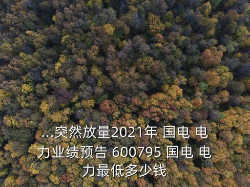 ...突然放量2021年 國電 電力業(yè)績預(yù)告 600795 國電 電力最低多少錢