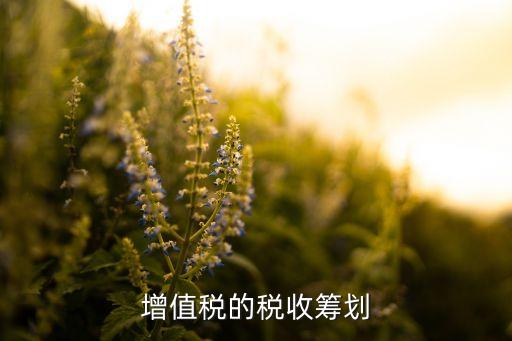 增值稅的稅收籌劃