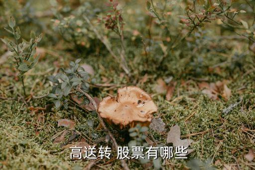  高送轉(zhuǎn) 股票有哪些