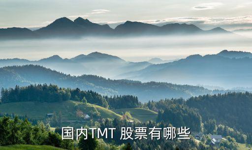 國內(nèi)TMT 股票有哪些