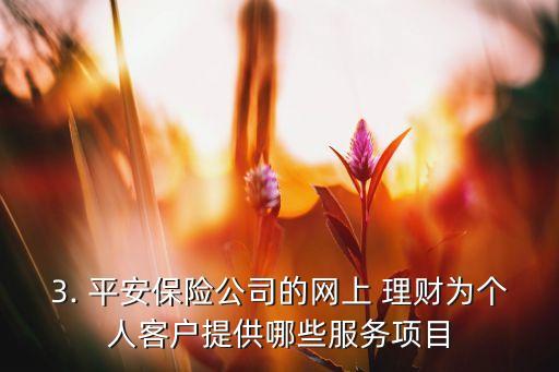 3. 平安保險公司的網(wǎng)上 理財為個人客戶提供哪些服務項目