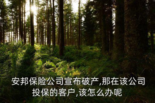  安邦保險公司宣布破產(chǎn),那在該公司投保的客戶,該怎么辦呢