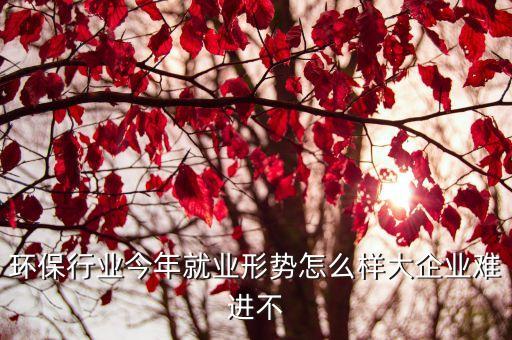 環(huán)保行業(yè)今年就業(yè)形勢(shì)怎么樣大企業(yè)難進(jìn)不