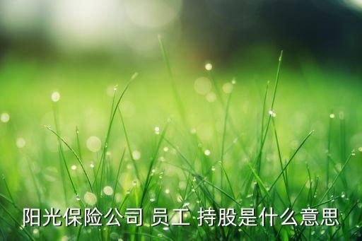 陽光保險公司 員工 持股是什么意思