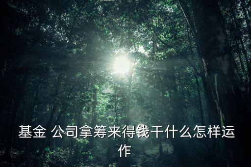 基金公司的運(yùn)做模式