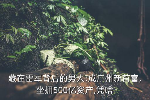 藏在雷軍背后的男人:成廣州新首富,坐擁500億資產(chǎn),憑啥