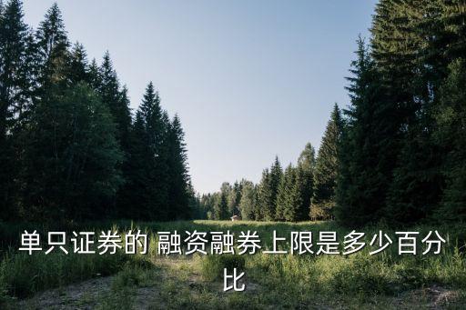 單只證券的 融資融券上限是多少百分比