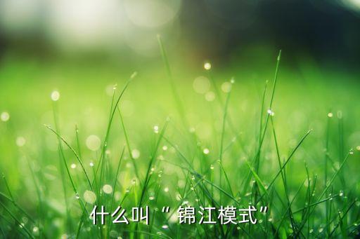 什么叫“ 錦江模式”