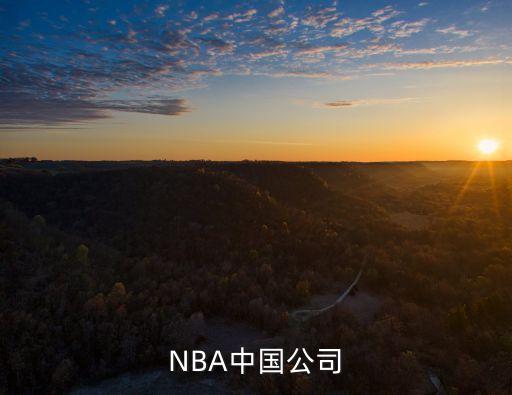 NBA中國公司