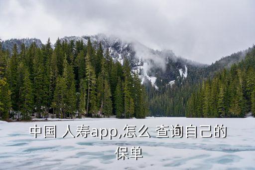 中國(guó) 人壽app,怎么 查詢自己的 保單