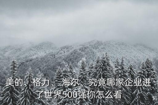 美的、格力、 海爾、究竟哪家企業(yè)進了世界500強你怎么看