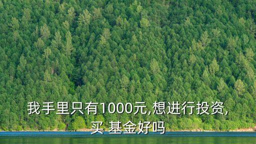 我手里只有1000元,想進行投資,買 基金好嗎