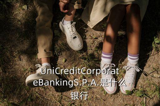 UniCreditCorporateBankingS.P.A.是什么銀行