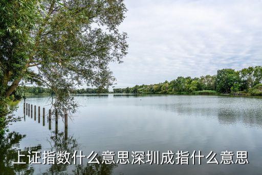 上證指數(shù)什么意思深圳成指什么意思