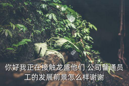 你好我正在接觸龍盛他們 公司普通員工的發(fā)展前景怎么樣謝謝