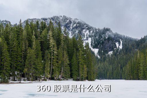 360 股票是什么公司