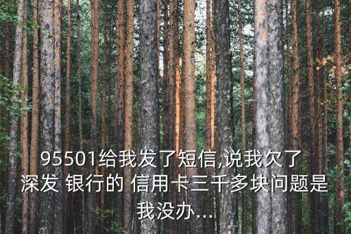 95501給我發(fā)了短信,說我欠了 深發(fā) 銀行的 信用卡三千多塊問題是我沒辦...